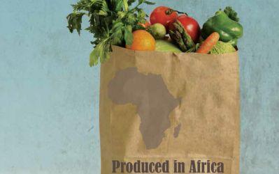 Agribusiness nell’Africa sub-sahariana