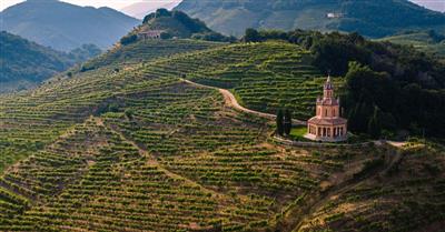 Export vino Italia e Veneto